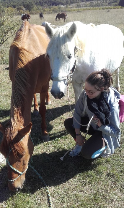 Photo de profil de laliec