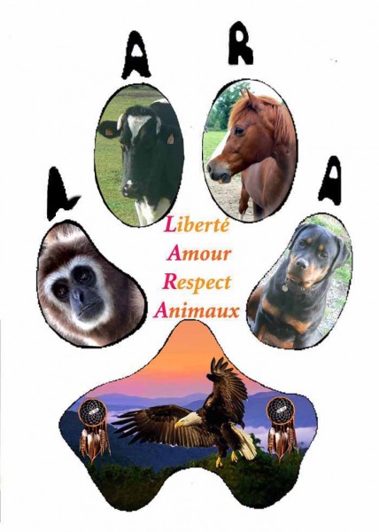 Photo de profil de lara23