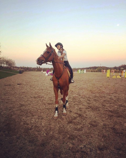 Photo de profil de larafeel