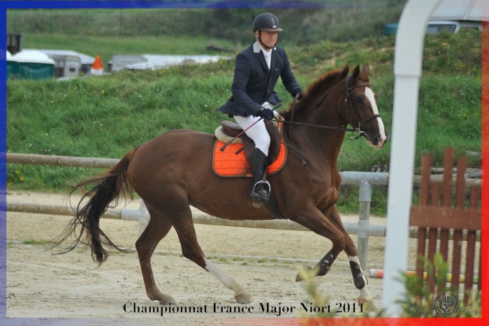 Photo de profil de lauran