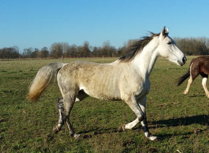 Photo de profil de laurent39