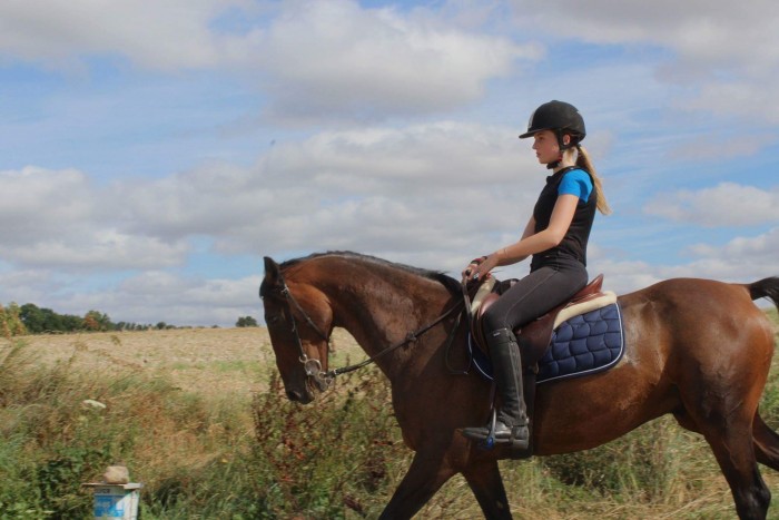 Photo de profil de leaderdanover