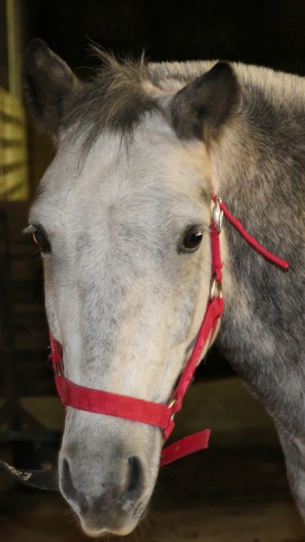 Photo de profil de leane01250