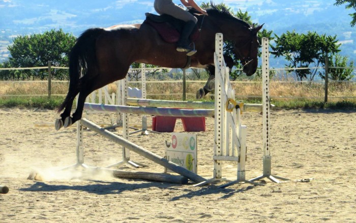 Photo de profil de leat07