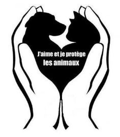Photo de profil de lecrindespoir
