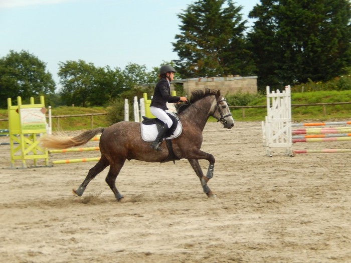 Photo de profil de legal17