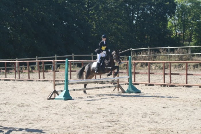 Photo de profil de lestempliers