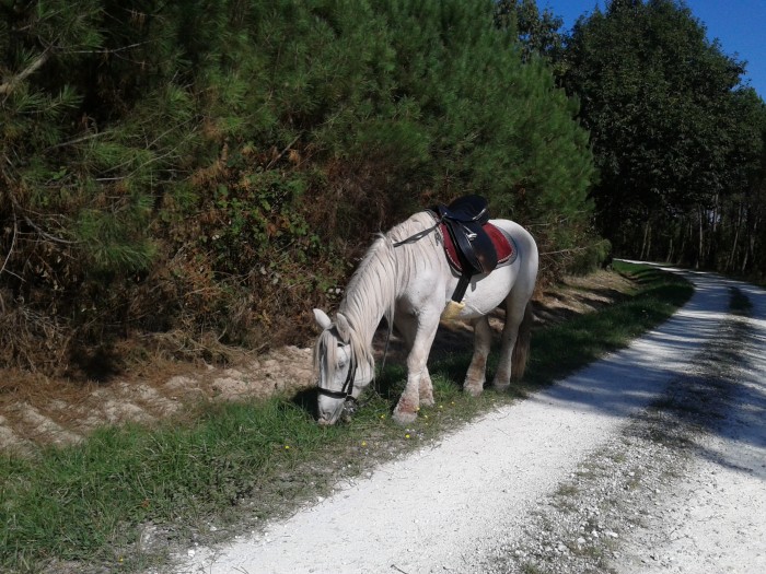 Photo de profil de licifer