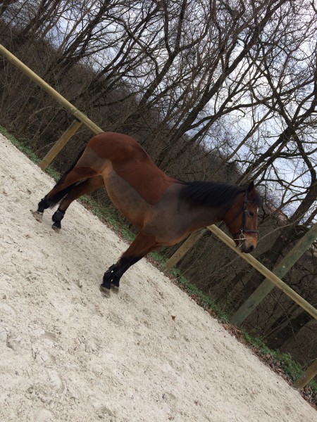 Photo de profil de liloupia