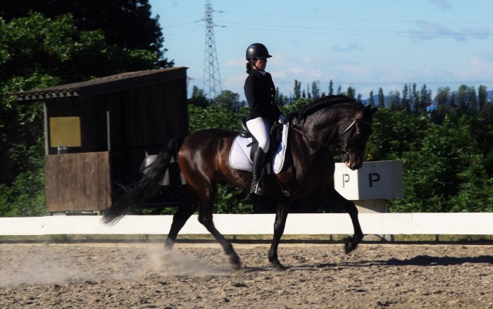 Photo de profil de lisadg