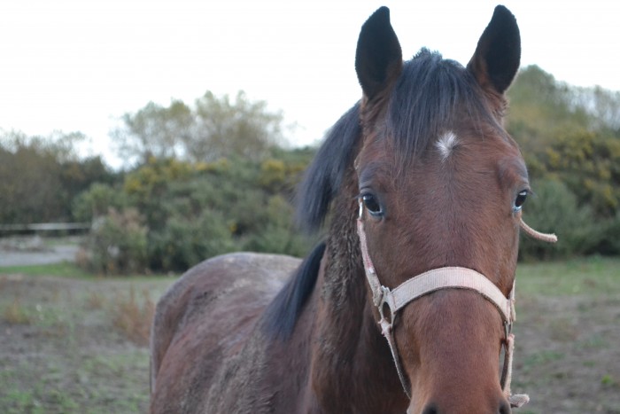 Photo de profil de liselotte50