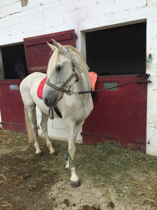 Photo de profil de livi1512