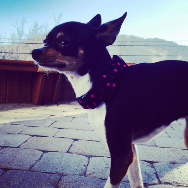 Photo de profil de loindution12