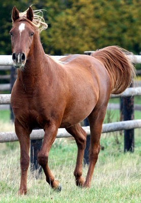 Photo de profil de lolamaya84700