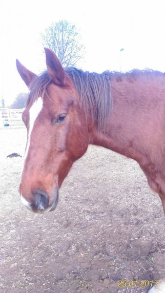 Photo de profil de lolo5151