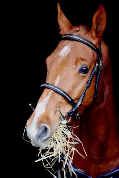 Photo de profil de lorinette