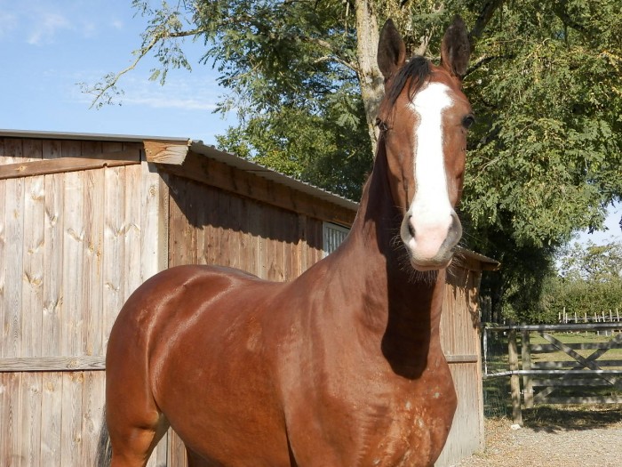 Photo de profil de louiser49