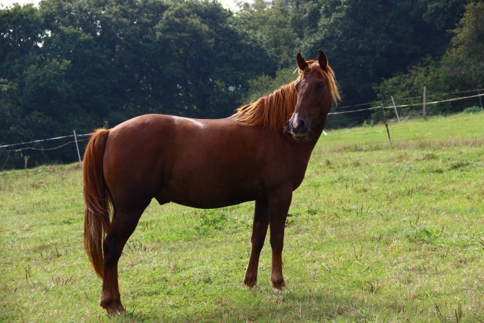Photo de profil de louison22