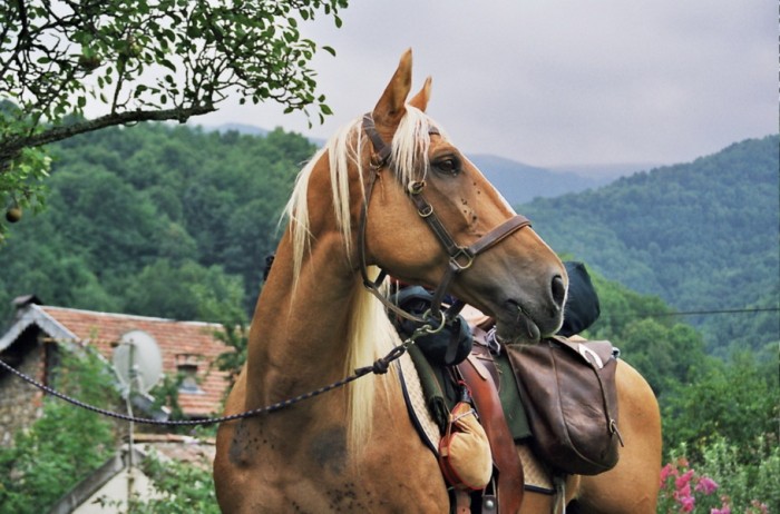 Photo de profil de lucianina