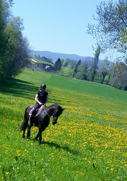 Photo de profil de lucie.k