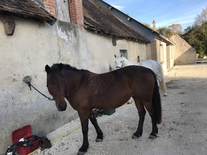 Photo de profil de lucilemt