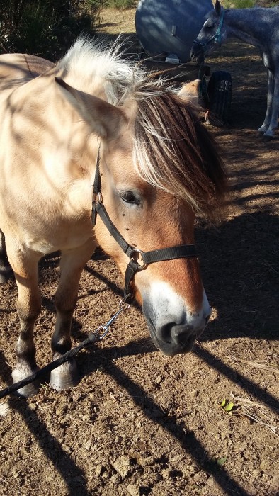 Photo de profil de luludu12