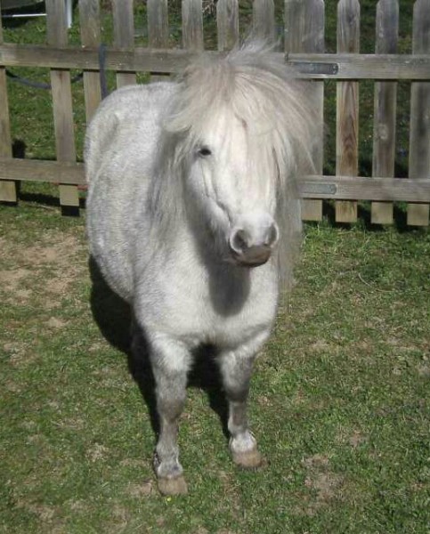 Photo de profil de lulu_reve