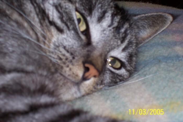 Photo de profil de maeoce