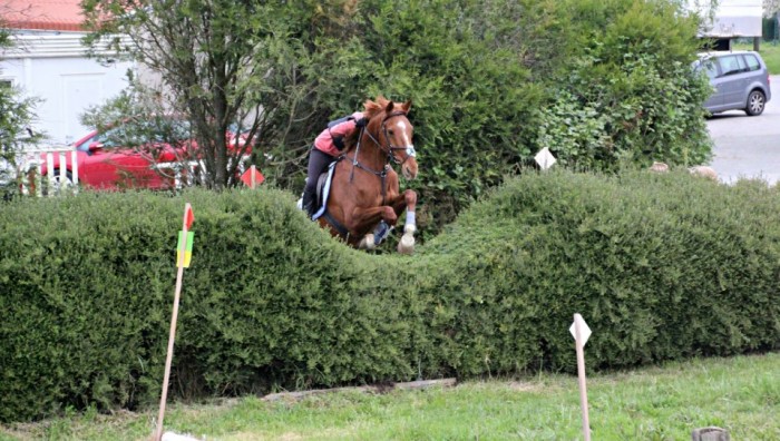 Photo de profil de maesoler