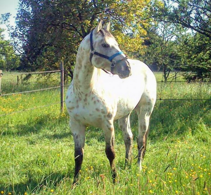 Photo de profil de maganache