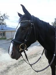 Photo de profil de mama_appach