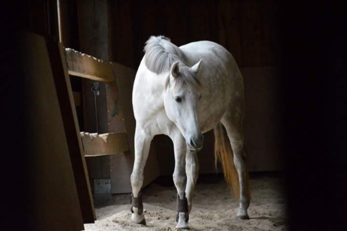 Photo de profil de manondufour