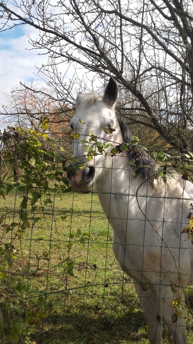 Photo de profil de manouu51