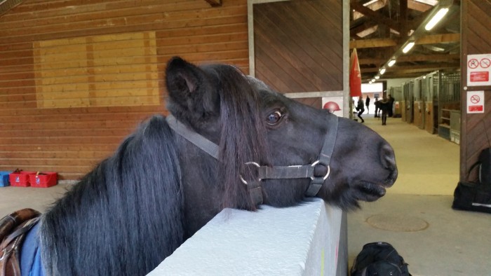 Photo de profil de manouw