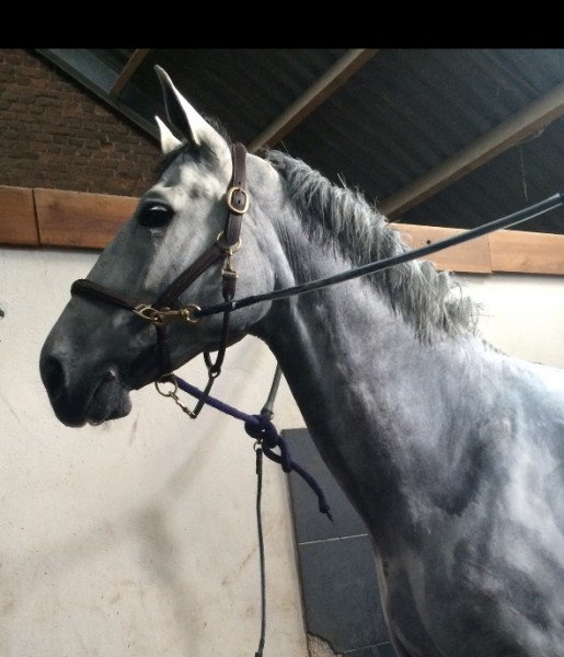 Photo de profil de manuu94