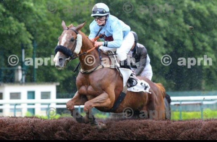 Photo de profil de marg0tte