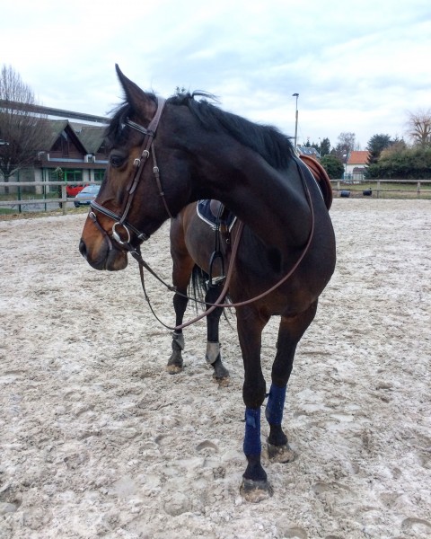 Photo de profil de margot_cty
