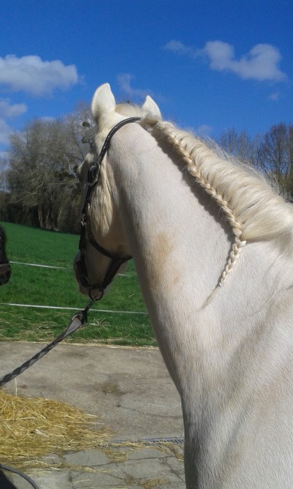 Photo de profil de marianne2801