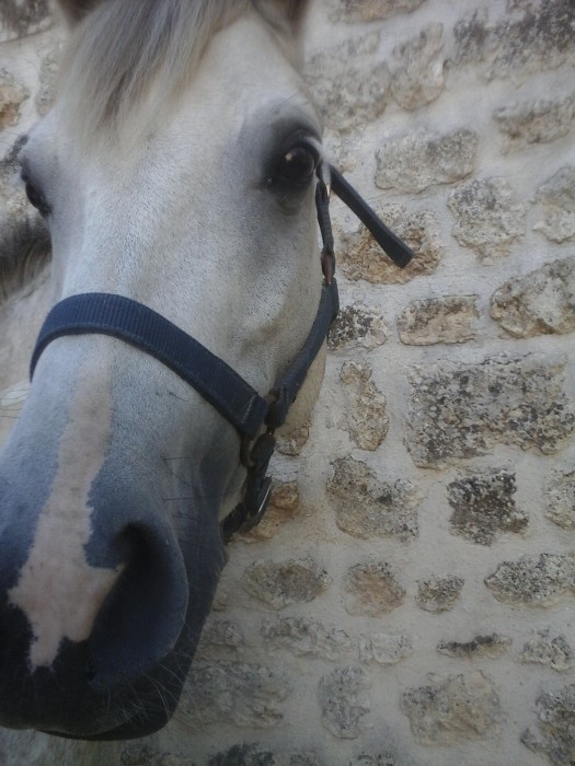 Photo de profil de marie1alaska2