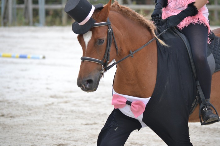 Photo de profil de marieau