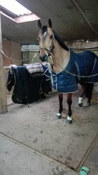 Photo de profil de marielaure1