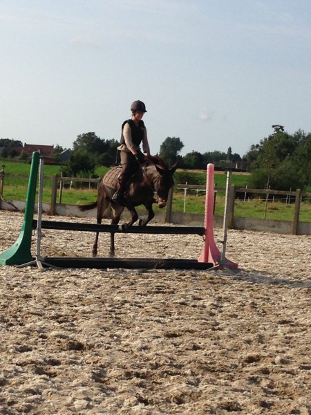 Photo de profil de marielecerf