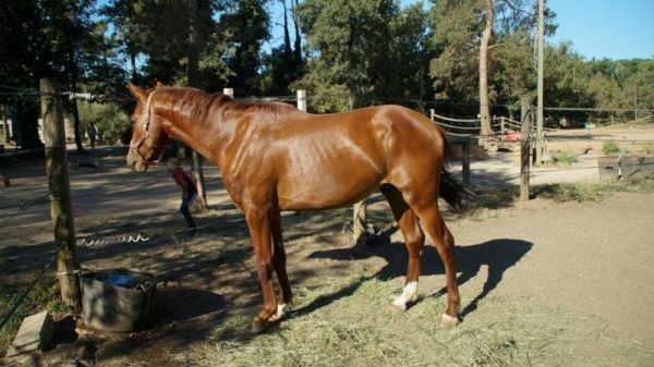 Photo de profil de marielou.c.s