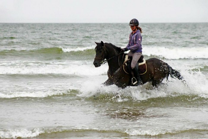 Photo de profil de mariemeline