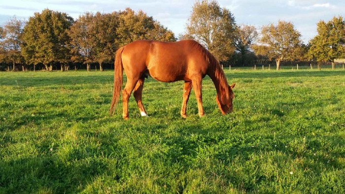 Photo de profil de mariiee