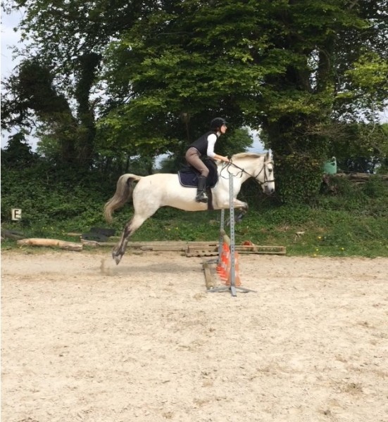 Photo de profil de marinedemaner