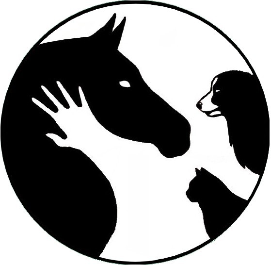 Photo de profil de marine_osteo