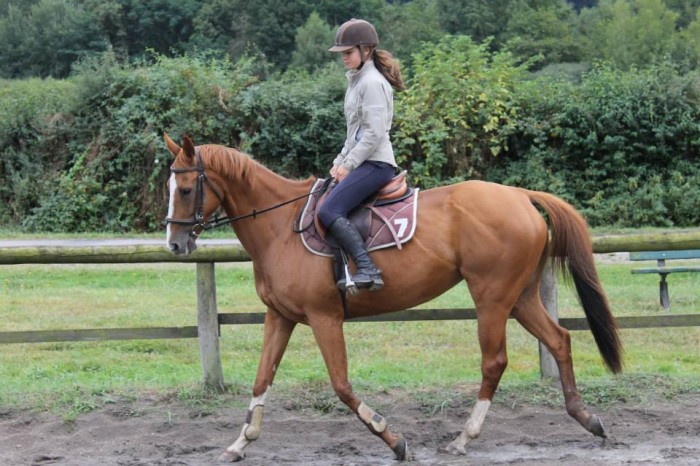 Photo de profil de marinette71