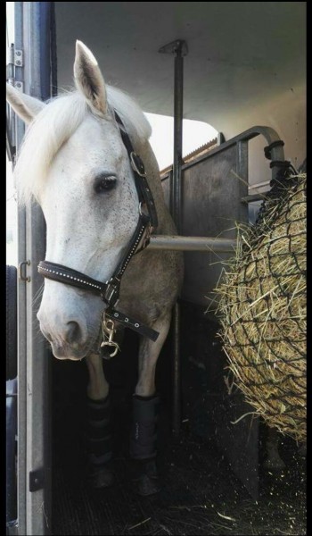 Photo de profil de marion57740