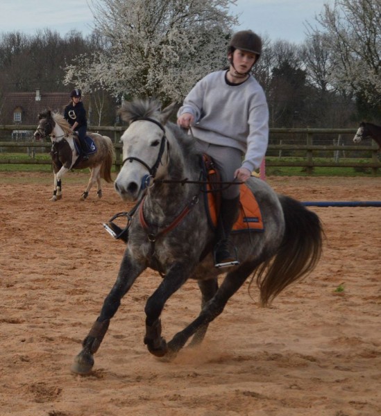 Photo de profil de marion72